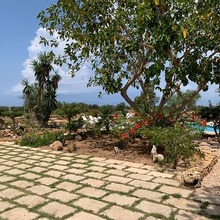 Apartamentos Vista Vedra 라세비나 외부 사진